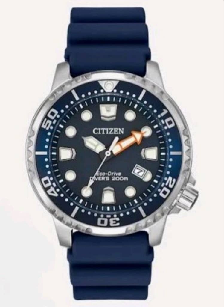citizen diver