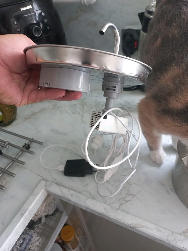 Kedi Su Sebili - 4