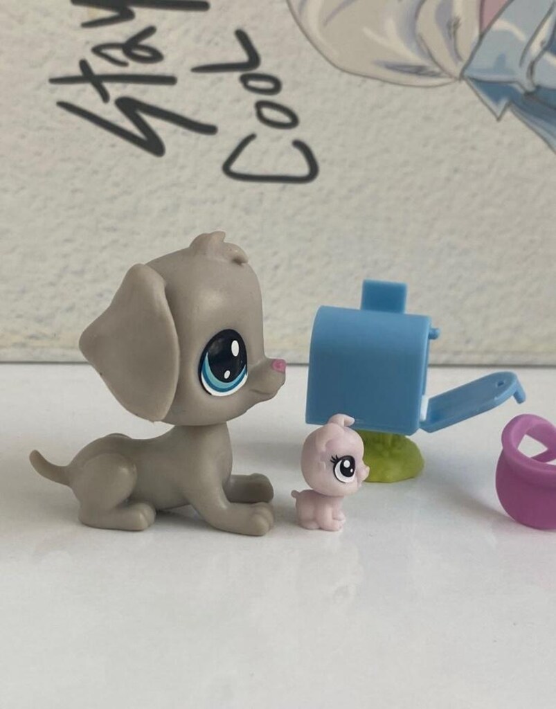 postacı köpek miniş - 4