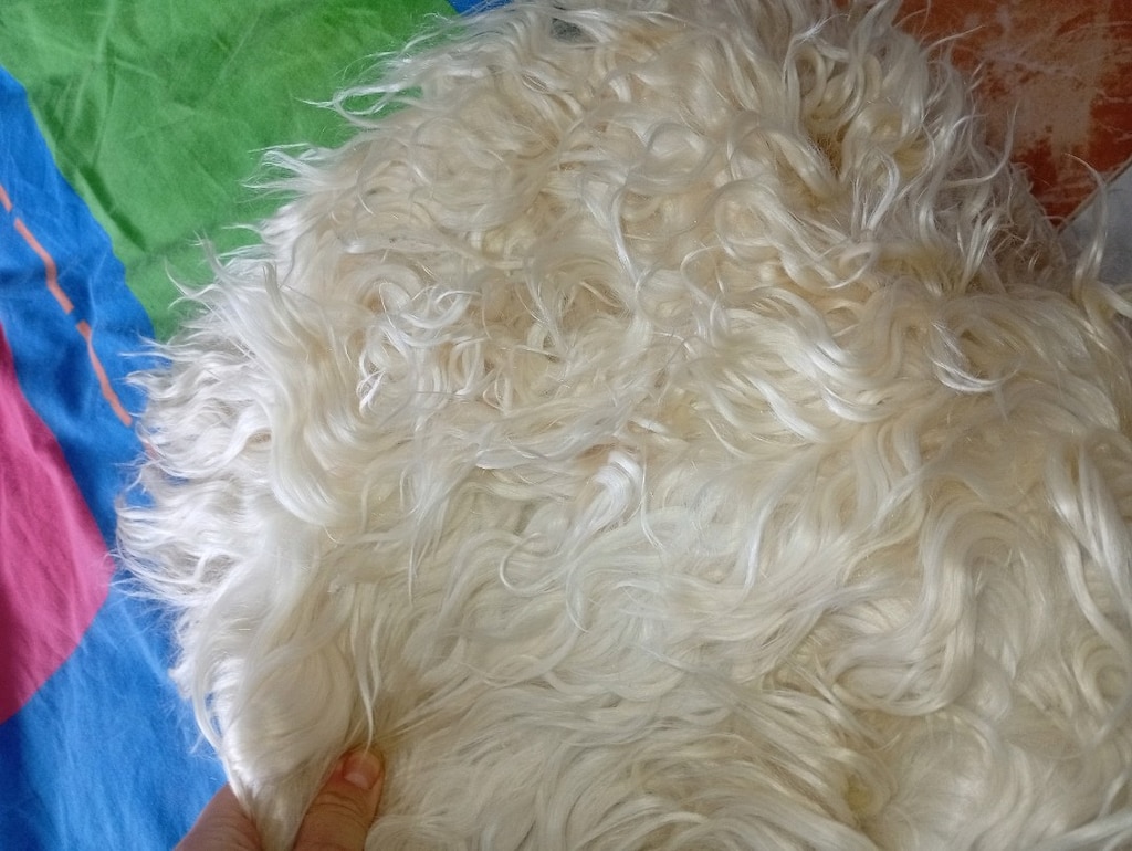 peluş halı orijinal - 2