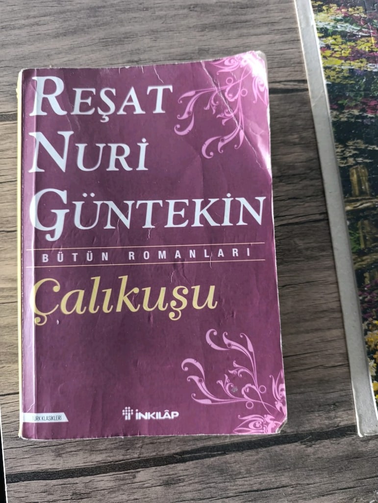 Çalıkuşu kitabı - 3