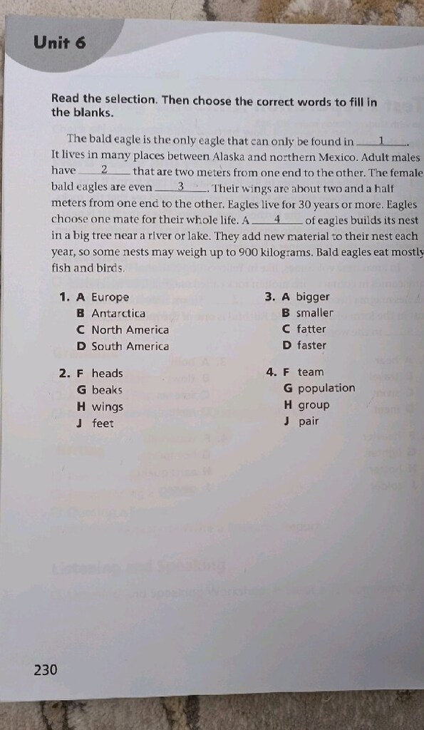New Cornerstone Workbook 5 - 2