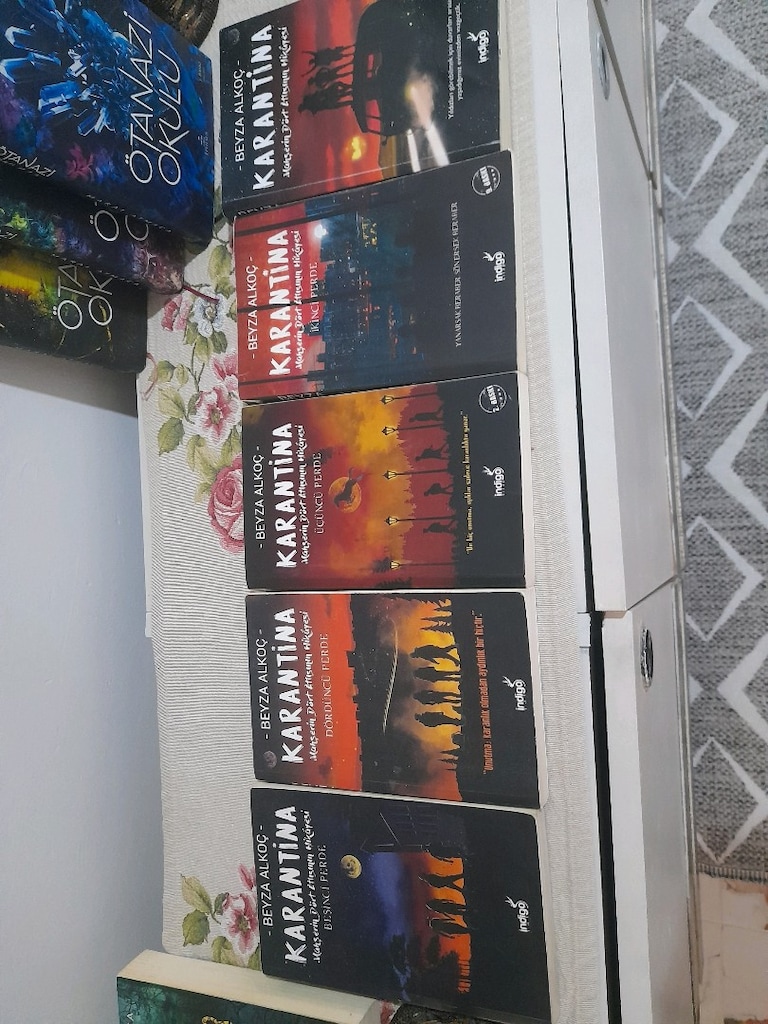 Beyza alkoçl karantina serisi - 3
