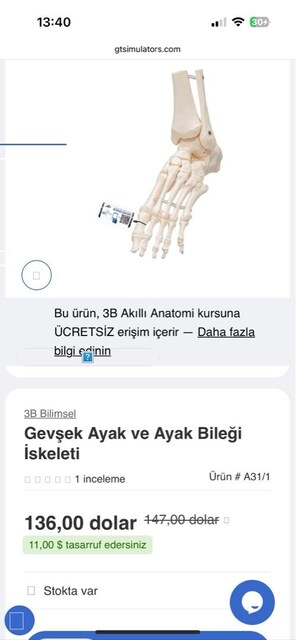 anatomi yapay ayak modeli