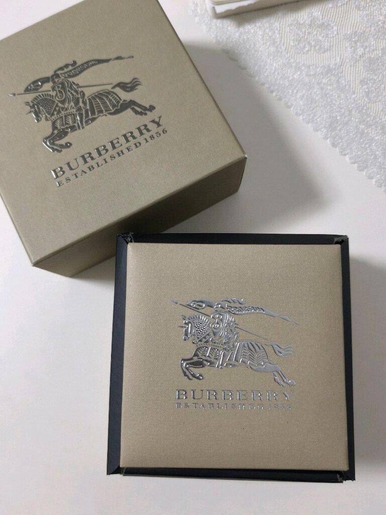 Burberry Saat Kutusu - 2