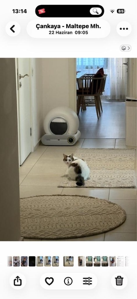 tam otomatik kedi tuvaleti - 2