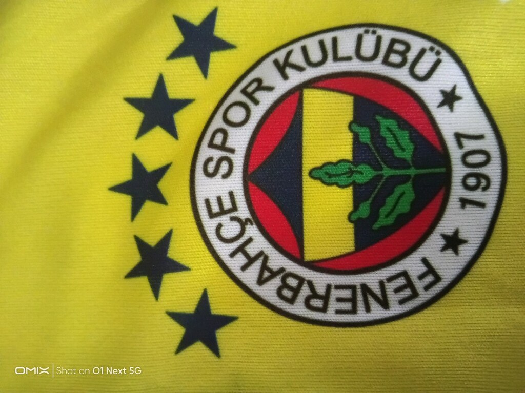 Fenerbahçe 2024-2025 L Beden Çubuklu İç Saha Forması A Kalite Replika - 3