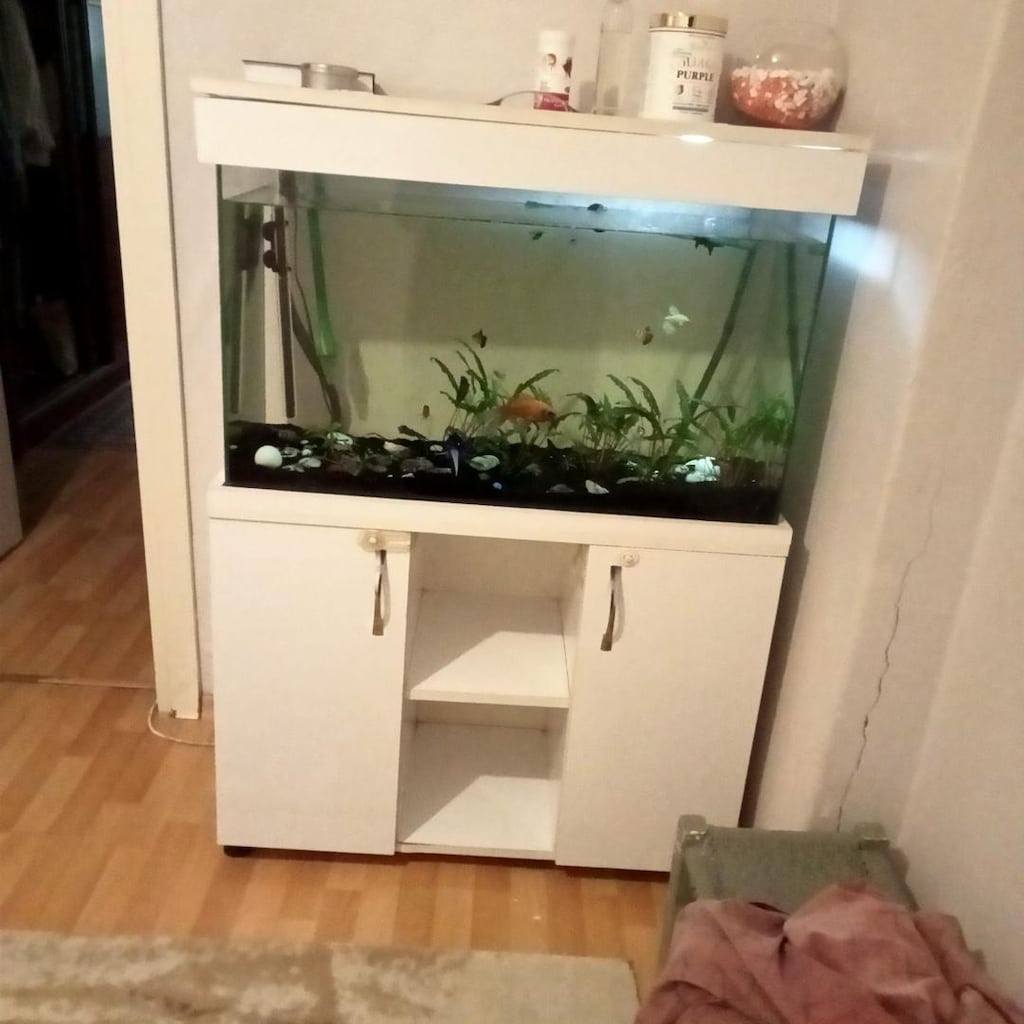 Dolaplı Akvaryum