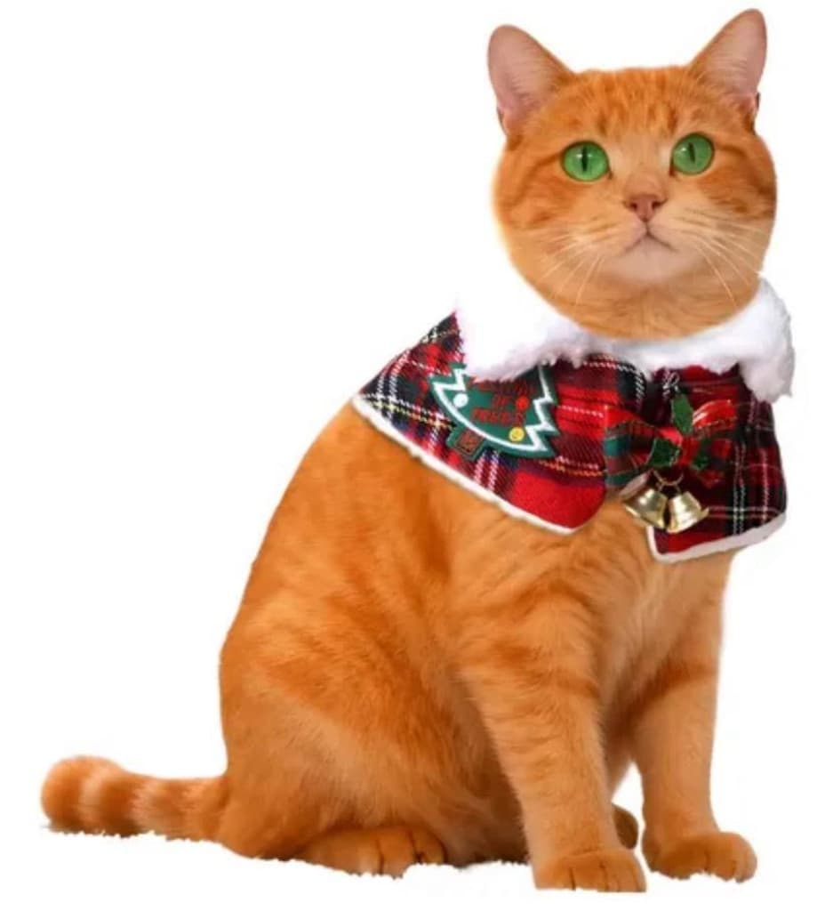 kedi köpek noel pelerini - 2