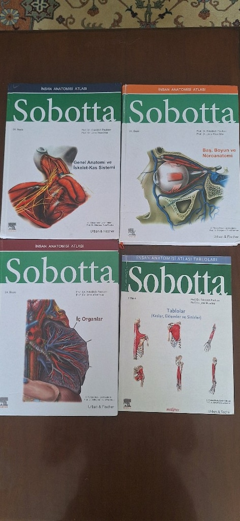 Sobotta İnsan Anatomisi Atlası Tam Set (4 Cilt) - 2