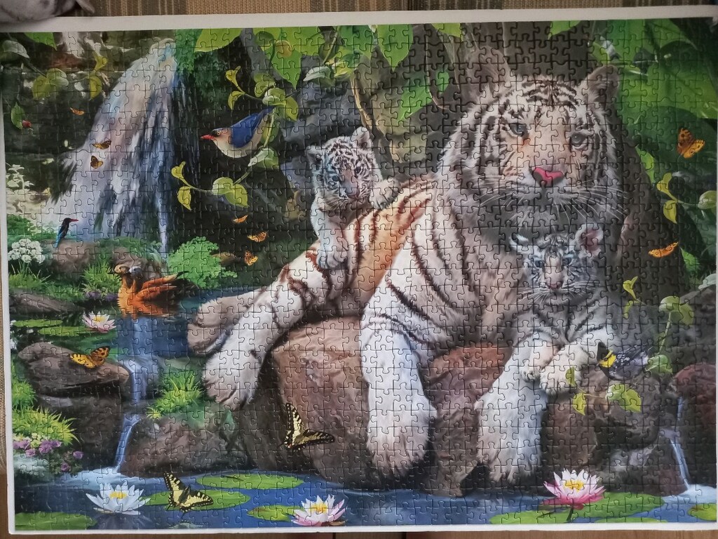Educa 1000 parça puzzle - 3