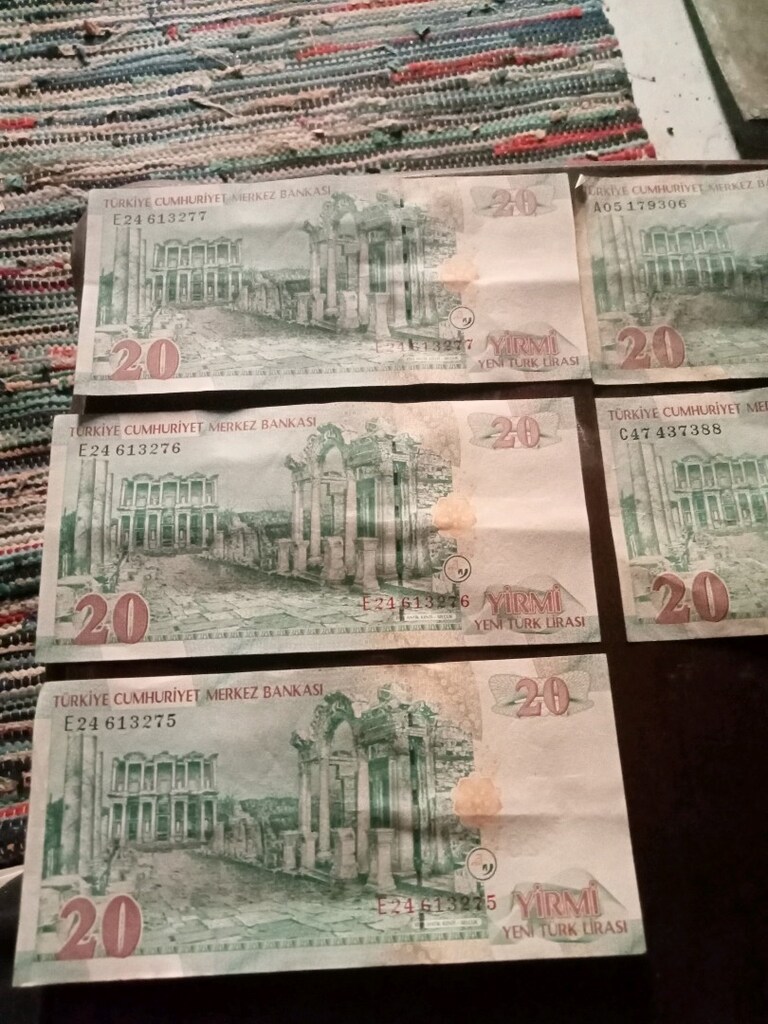 koleksiyonluk eski YTL paralar - 10