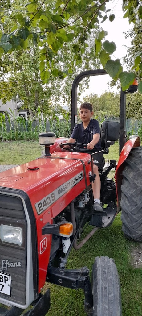 Massey ferguson 240s - 5