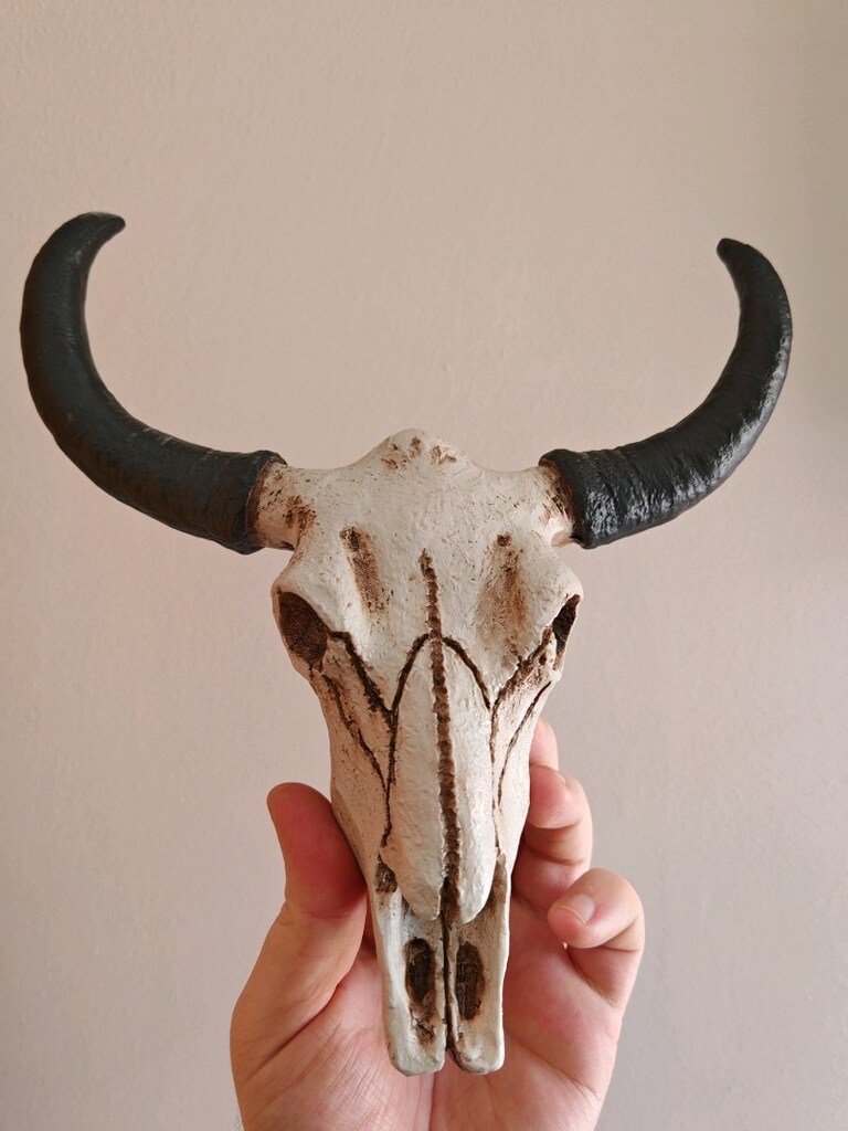 Bufalo Kafası - 2