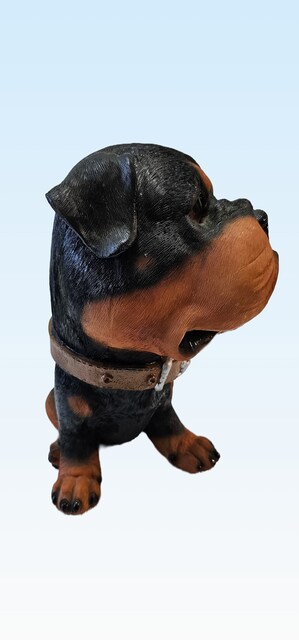 Koleksiyonluk Rottweiler Biblo