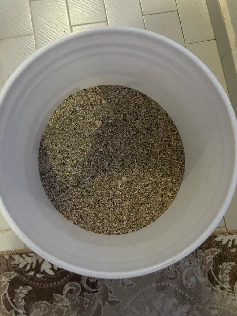 17,7 KG Doğal Deniz Midyesi Kırığı (Akvaryum Kum Dekorasyonu) - 2