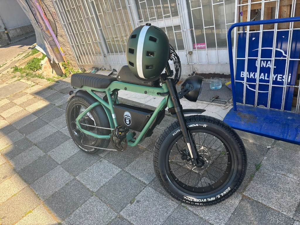 APE RYDER BONOBO 750WATT - 7
