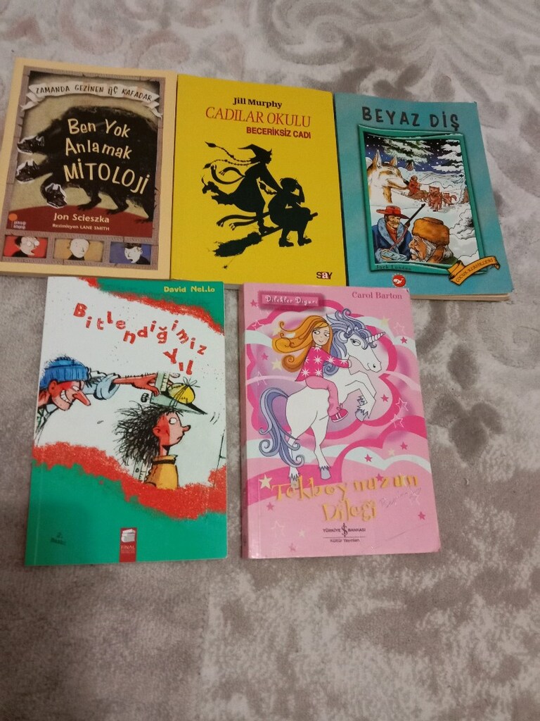 Genç çocuk için 9 roman kitap. - 3