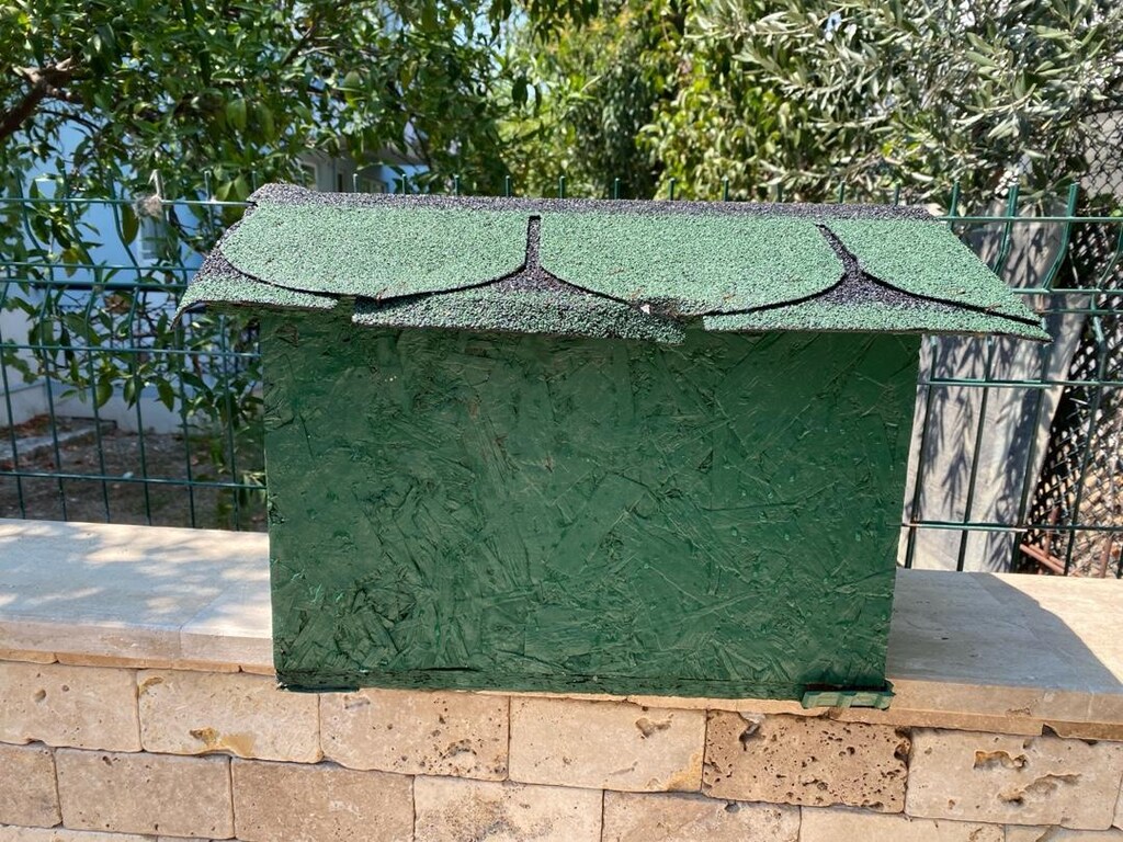 kedi evi - 3