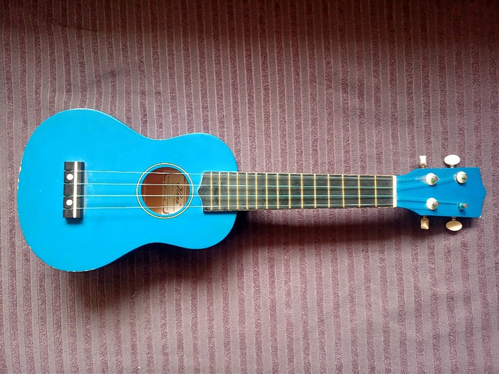 Kutulu Mavi Ukulele - 2