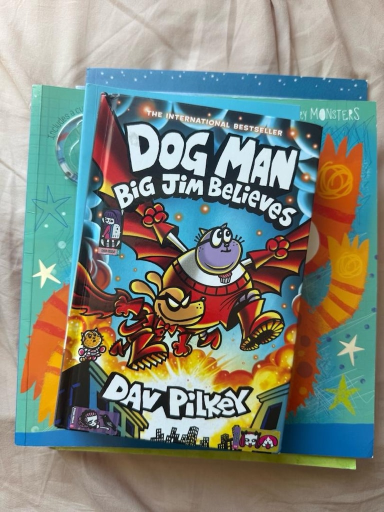 İngilizce Çocuk Kitapları Seti – Usborne, Ladybird, Scholastic, DogMan - 4