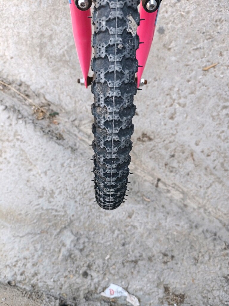 DİANA LADY - 5
