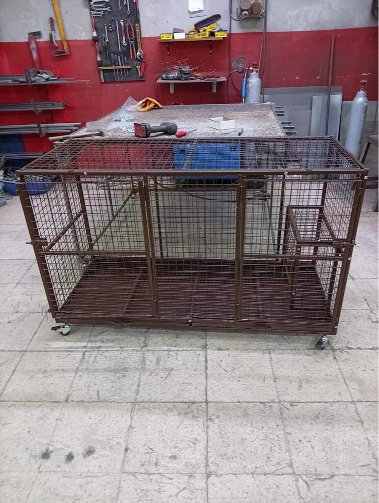 köpek boxı - 5