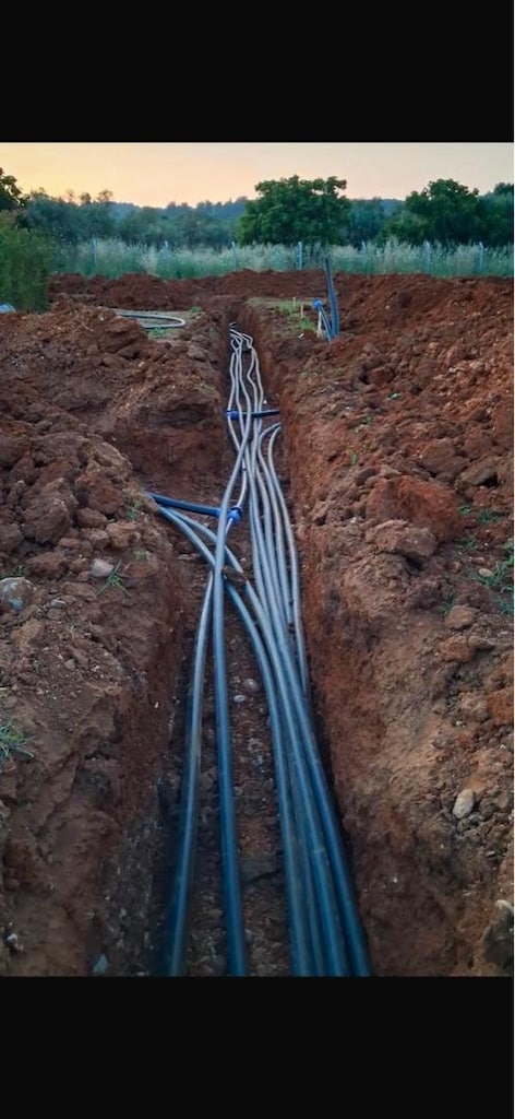 EGE LİFE SINIRILI SORUMLU KOOP. - 4