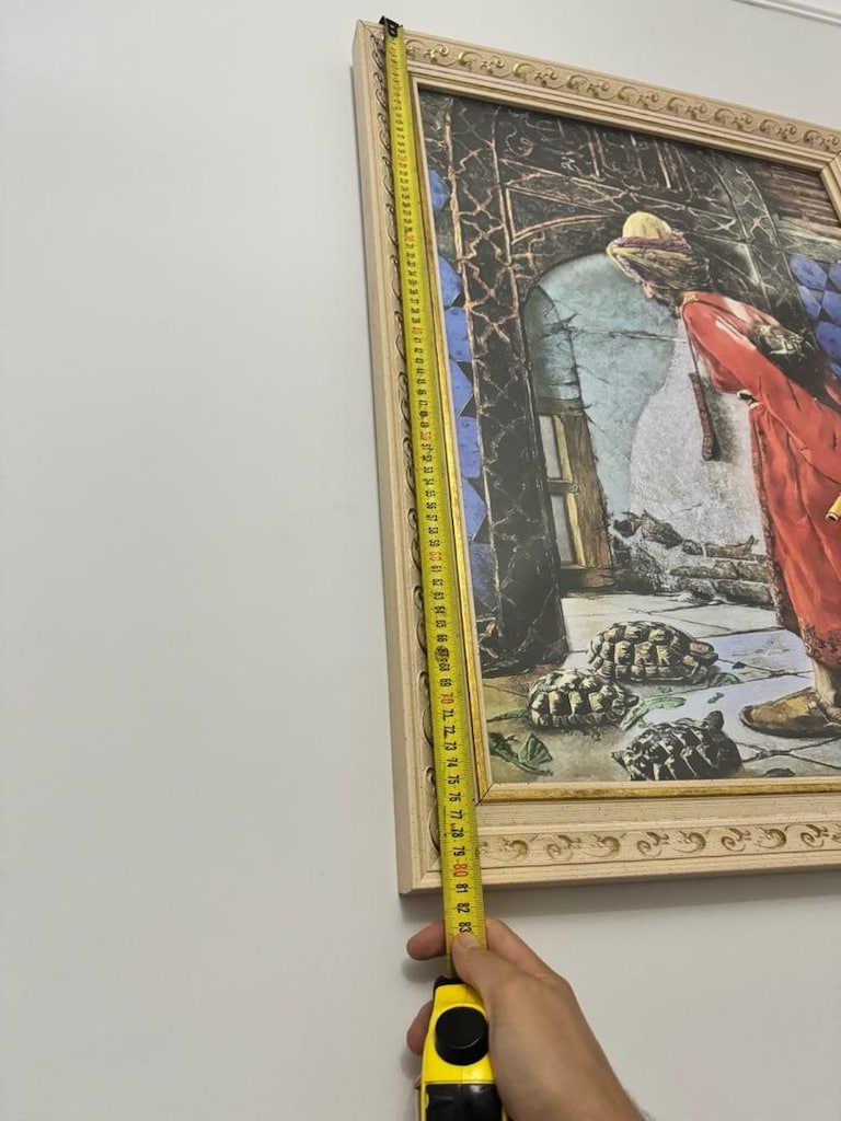 Çerçeveli Kaplumbağa Terbiyecisi Tablo (80*60cm) TAKAS OLUR - 5