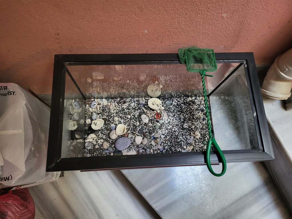 G:27 B:35 U:50 cm isteyene Şelale Filtresi ve ısıtıcısı mevcut. - 3