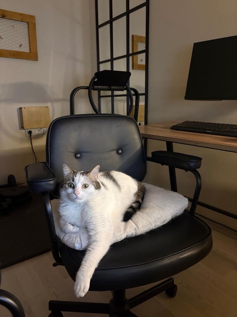 L çalışma masası ve deri ofis sandalyeler