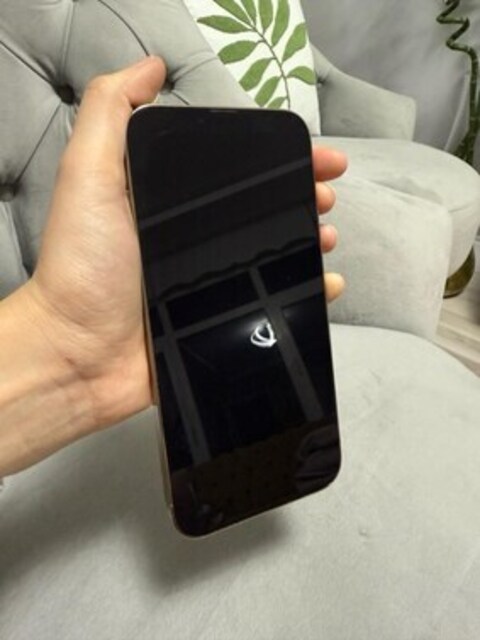 İPhone 13 pro max 256GB 8 ay garantili