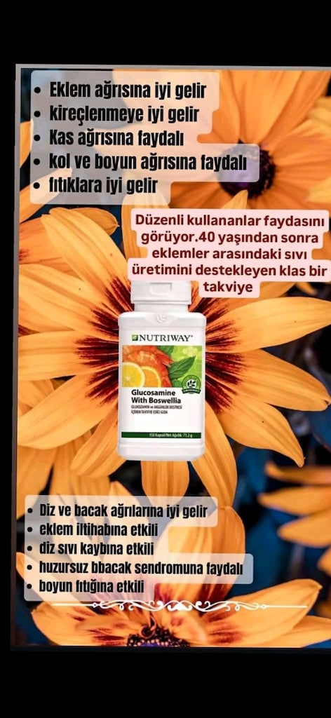 Amway Nutriway Eklem ve Kas Desteği - 3