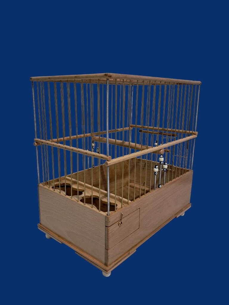 Kayın agacı saka kafesi - 3