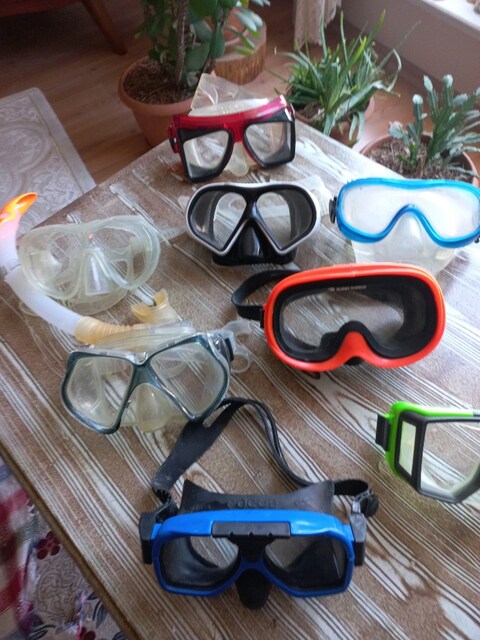 SNORKEL