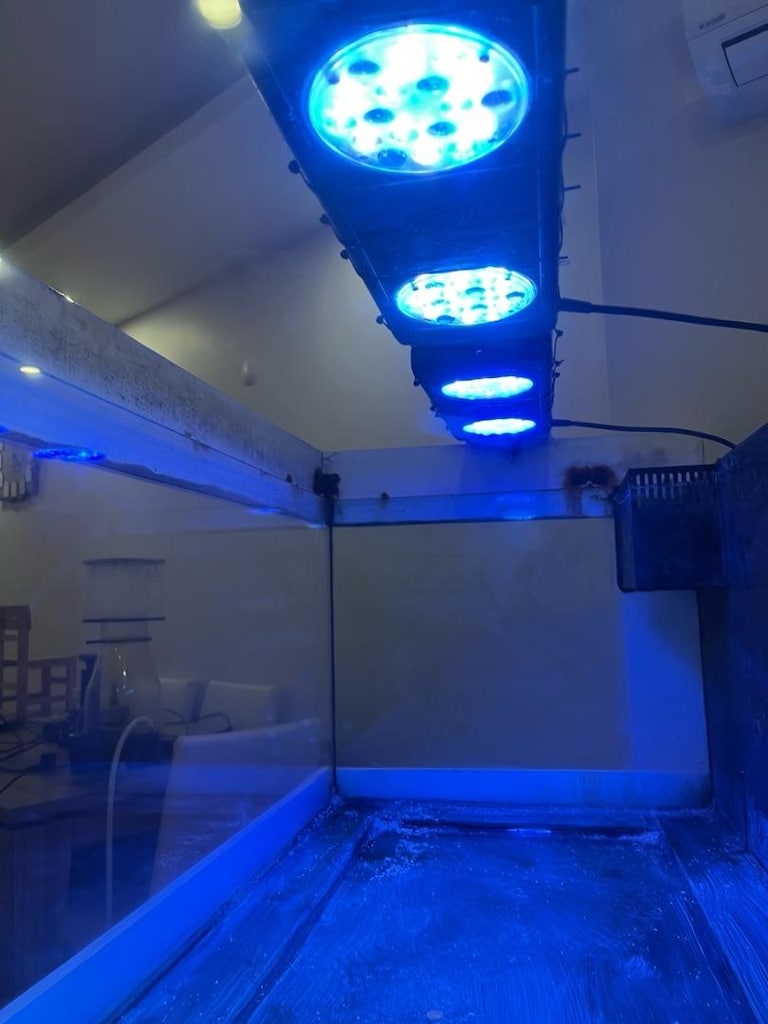 Deniz Akvaryumu Sumplu 800 Litre Ve Ekipmanları - 2