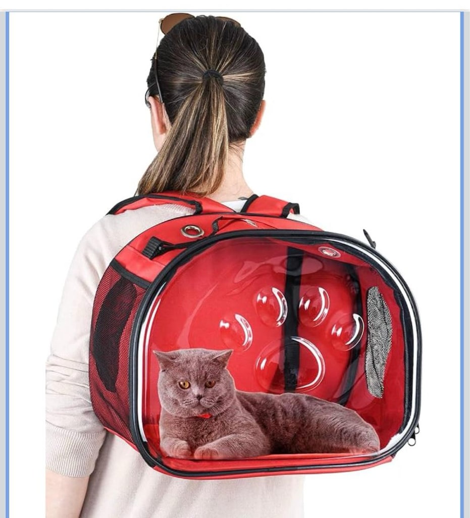 kedi köpek sırt taşıma çantası ve Sıfır ürün kedi tırmanma parkuru - 2