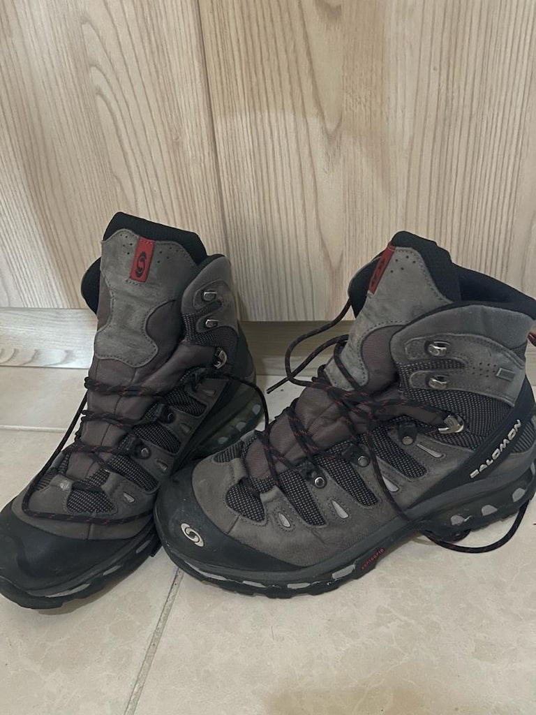salomon bot