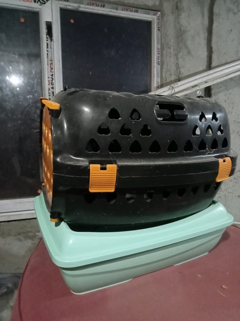 kedi taşıma kutusu ve kumluk - 2