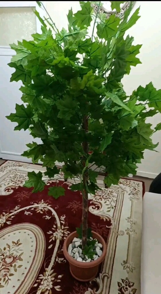 yapay çınar ağacı - 3