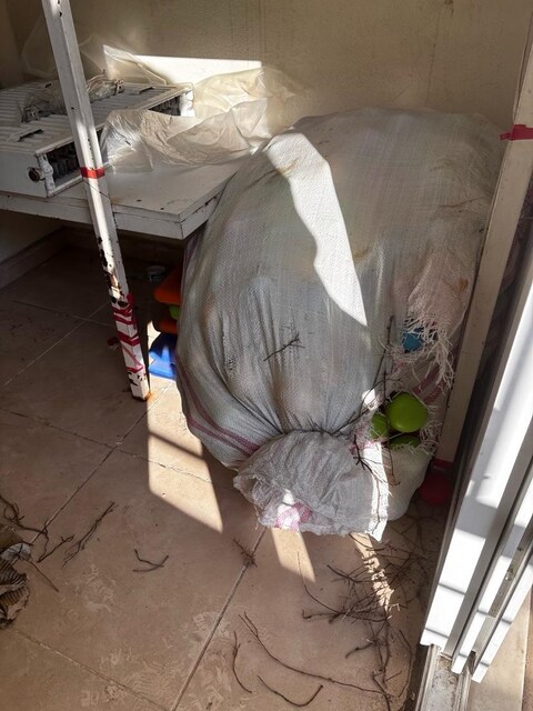 pilsannçit ve topları