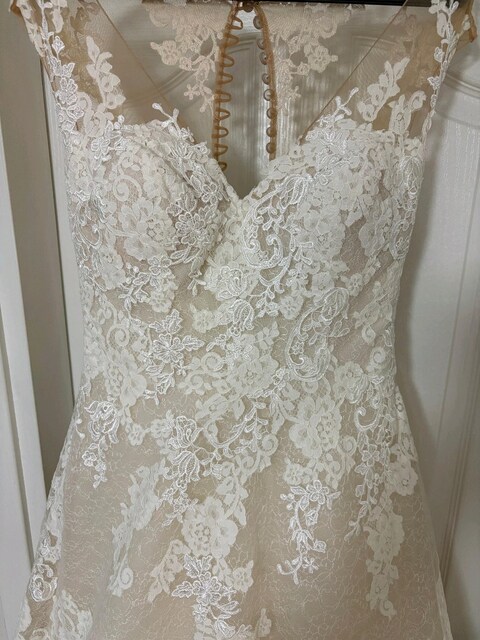 pronovias marka