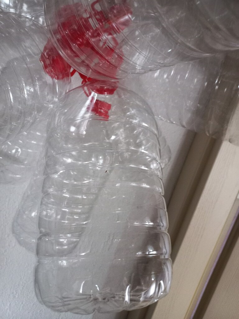 PET Şişe 5litre. Zeytin yaglik - 2
