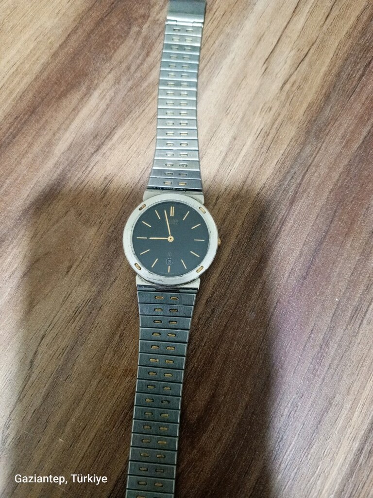 citizen ouartz japan yaprak kasa - 3