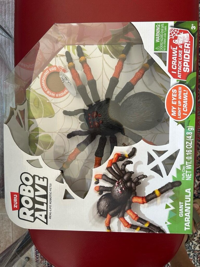 Tarantula Örümcek - 6