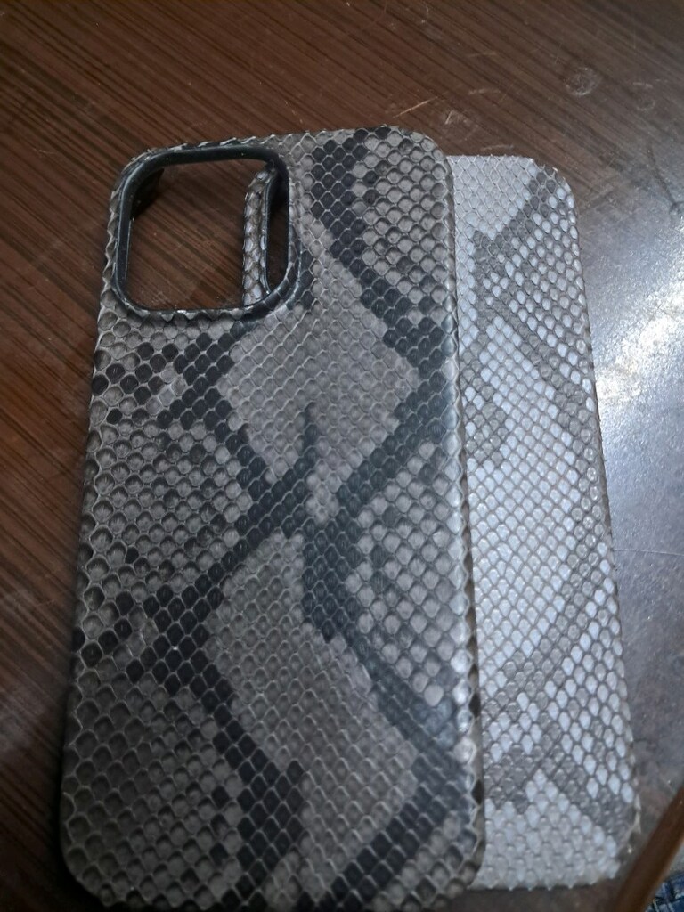 iPhone 16 Yılan Derisi kılıf - 4