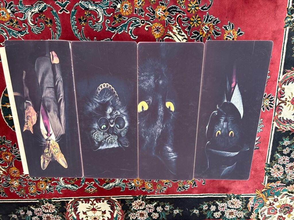 4 adet kedi temalı tablo - 4
