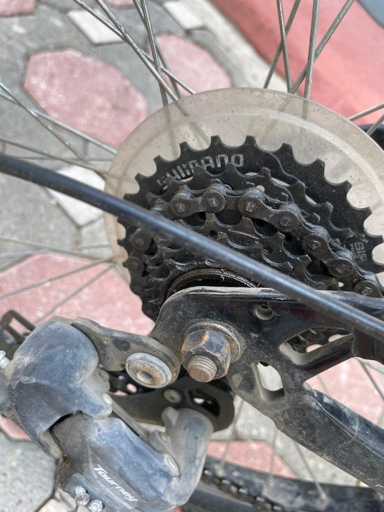 bianchi bisiklet