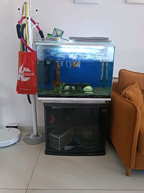 akvaryum