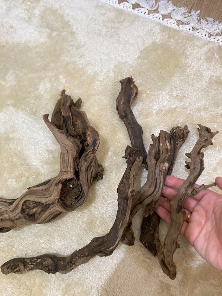 Akvaryuma Hazır Asma Kökü - Spider Wood - 3 Kez Kaynatıldı, Direk Bata - 8